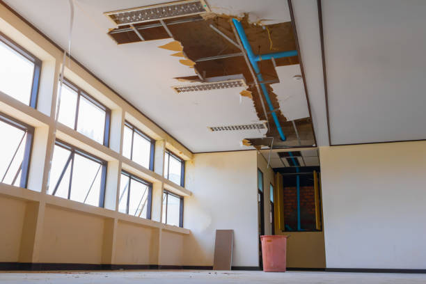 Best Flooded house restoration  in Lake Alfred, FL