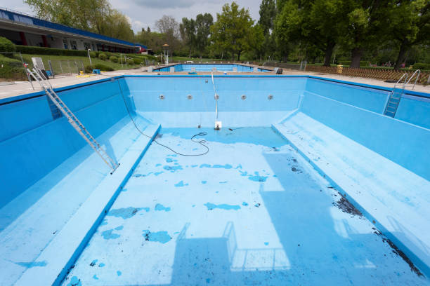 Best Professional water damage repair  in Lake Alfred, FL