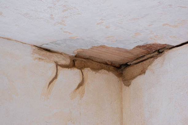 Best Flood restoration services  in Lake Alfred, FL