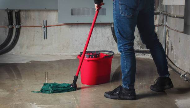 Best Commercial water damage restoration  in Lake Alfred, FL