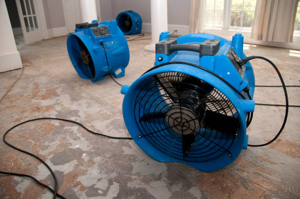 Best Emergency water damage restoration  in Lake Alfred, FL