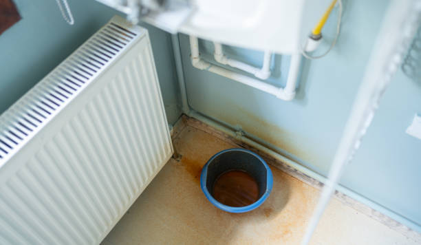 Best Water damage restoration near me  in Lake Alfred, FL