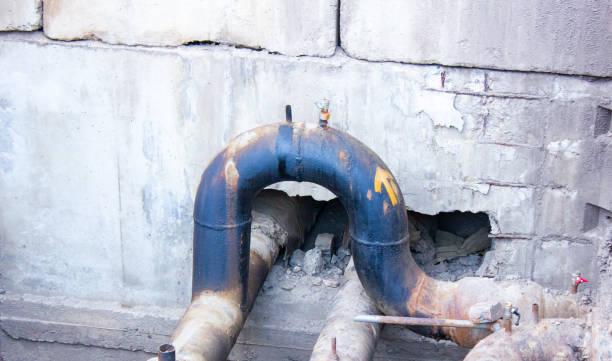 Best Ceiling water damage repair  in Lake Alfred, FL