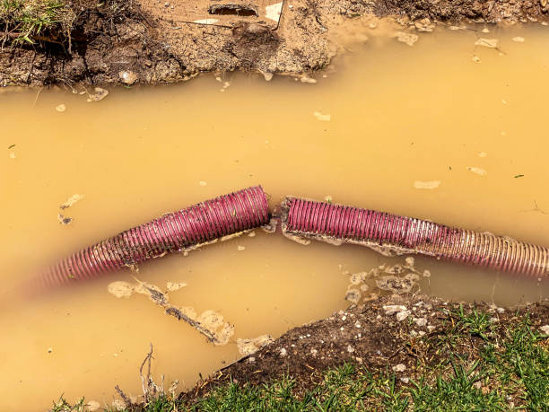 Best Water damage restoration specialists  in Lake Alfred, FL