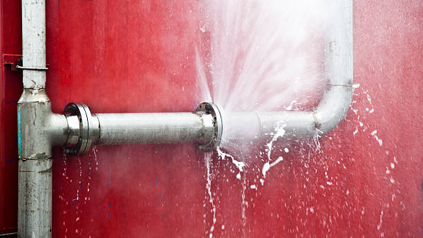 Best Water damage contractors near me  in Lake Alfred, FL